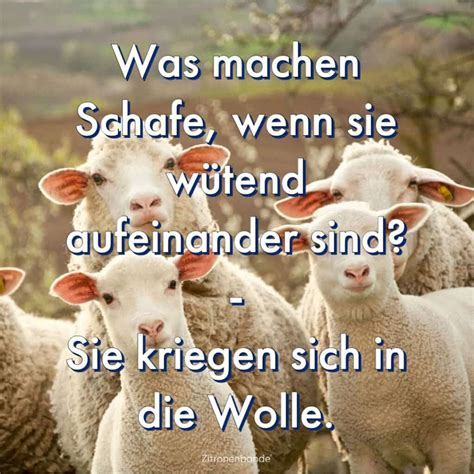 lustiges bilder zum lachen|lustige lachen bilder.